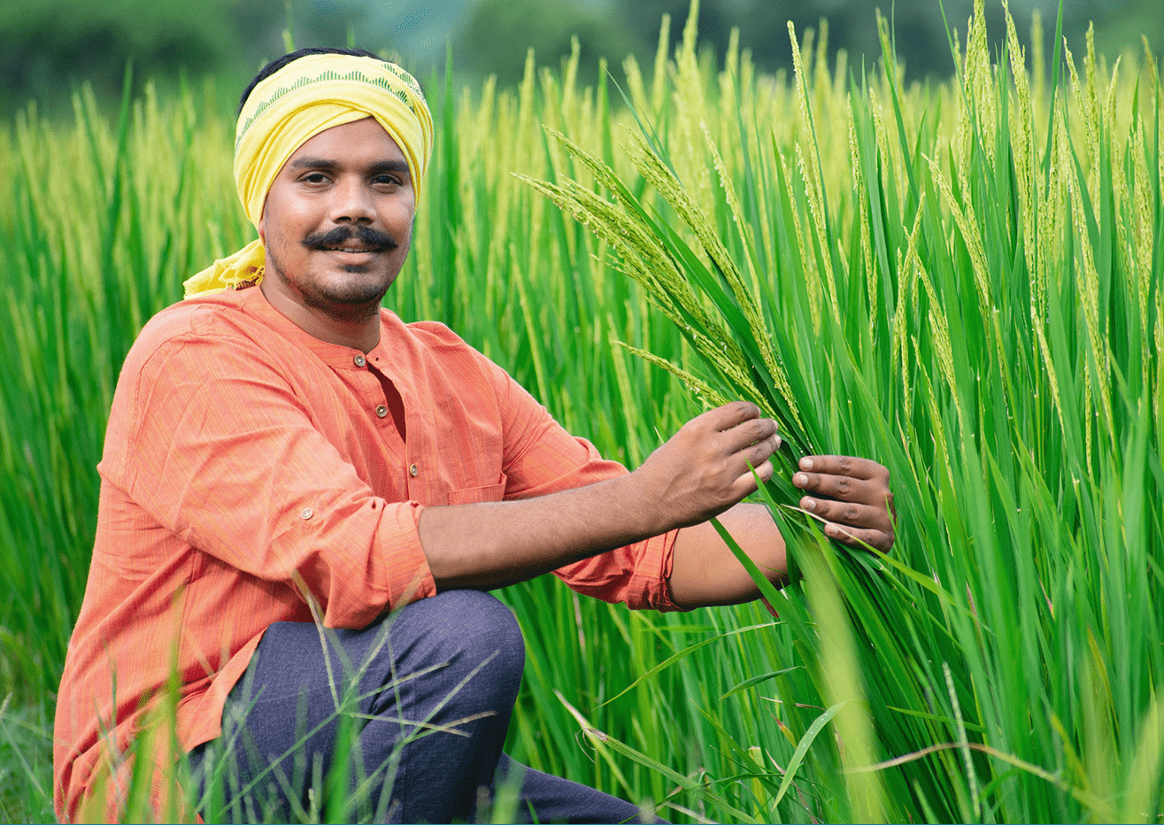 sustainable_banner-min